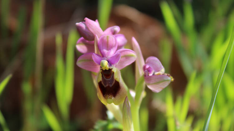 As melhores coisas grátis para fazer em Lisboa esta semana