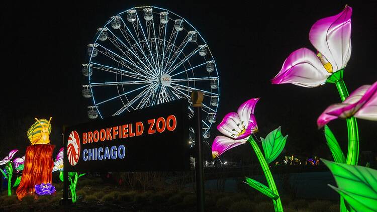 Glow Wild: A Lantern Festival of Hope