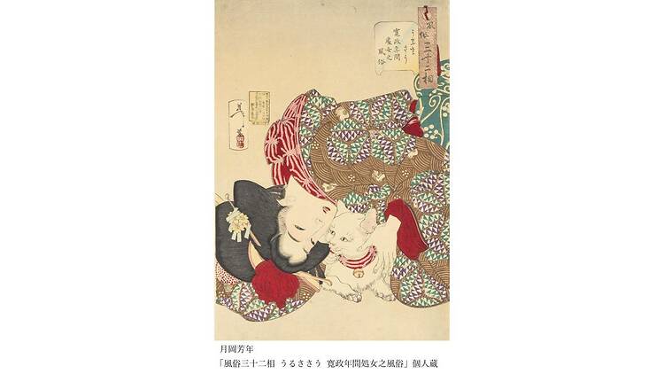 Ukiyo-e猫百科 ごろごろまるまるネコづくし