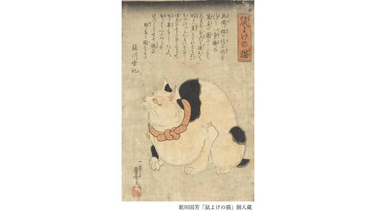 Ukiyo-e猫百科 ごろごろまるまるネコづくし