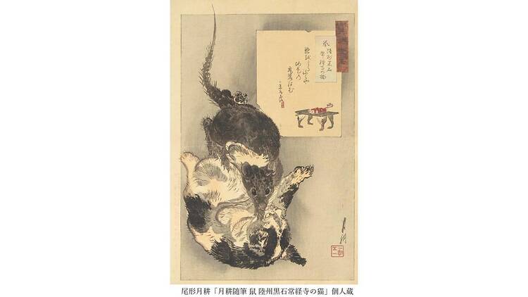 Ukiyo-e猫百科 ごろごろまるまるネコづくし