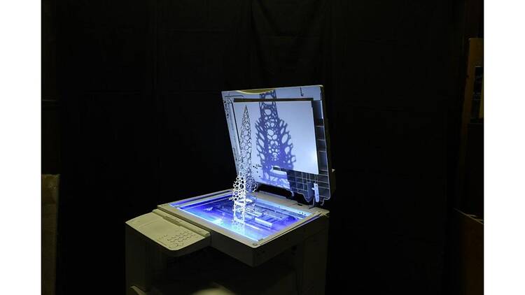 Deus sive Natura -生と死の境界領域- Deus sive Natura -生と死の境界領域-