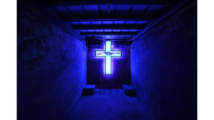 Deus sive Natura -生と死の境界領域- Deus sive Natura -生と死の境界領域-