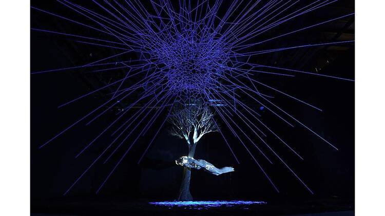 Deus sive Natura -生と死の境界領域- Deus sive Natura -生と死の境界領域-