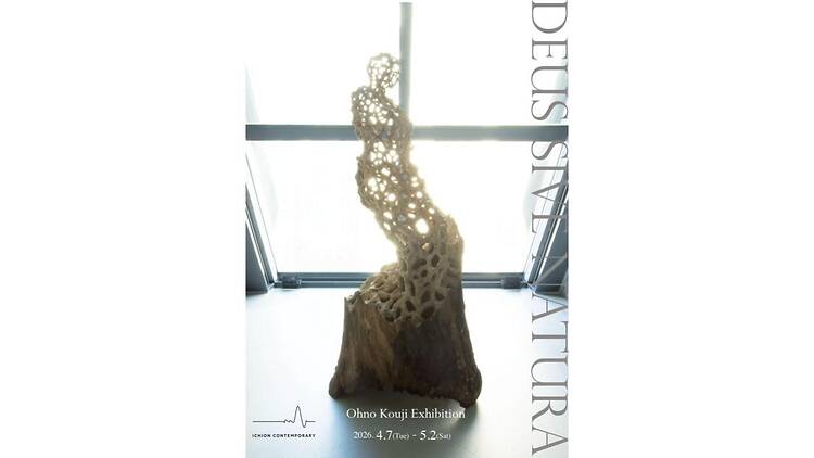 Deus sive Natura -生と死の境界領域- Deus sive Natura -生と死の境界領域-