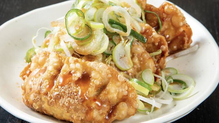 Craft Gyoza Fes Osaka