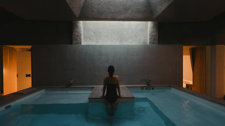 Capybara Bathing Singapore