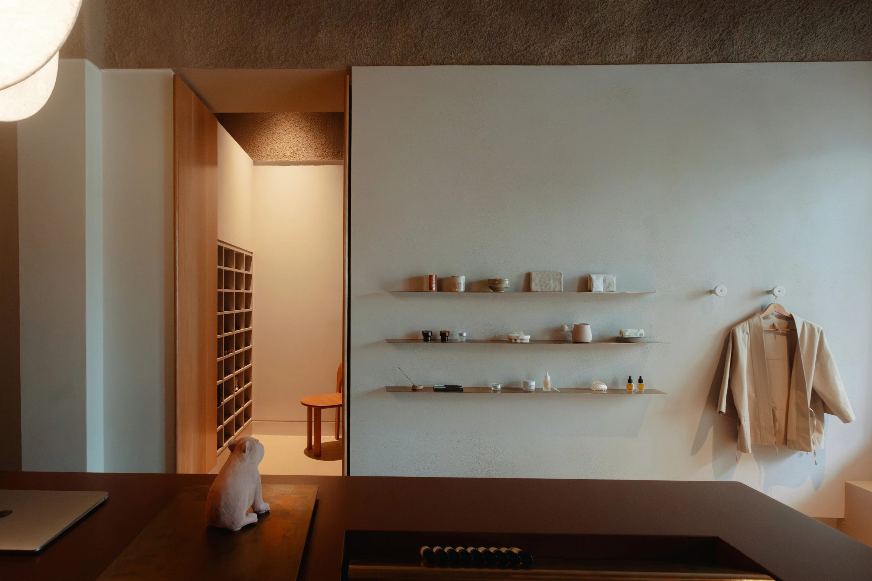 Capybara Bathing Singapore