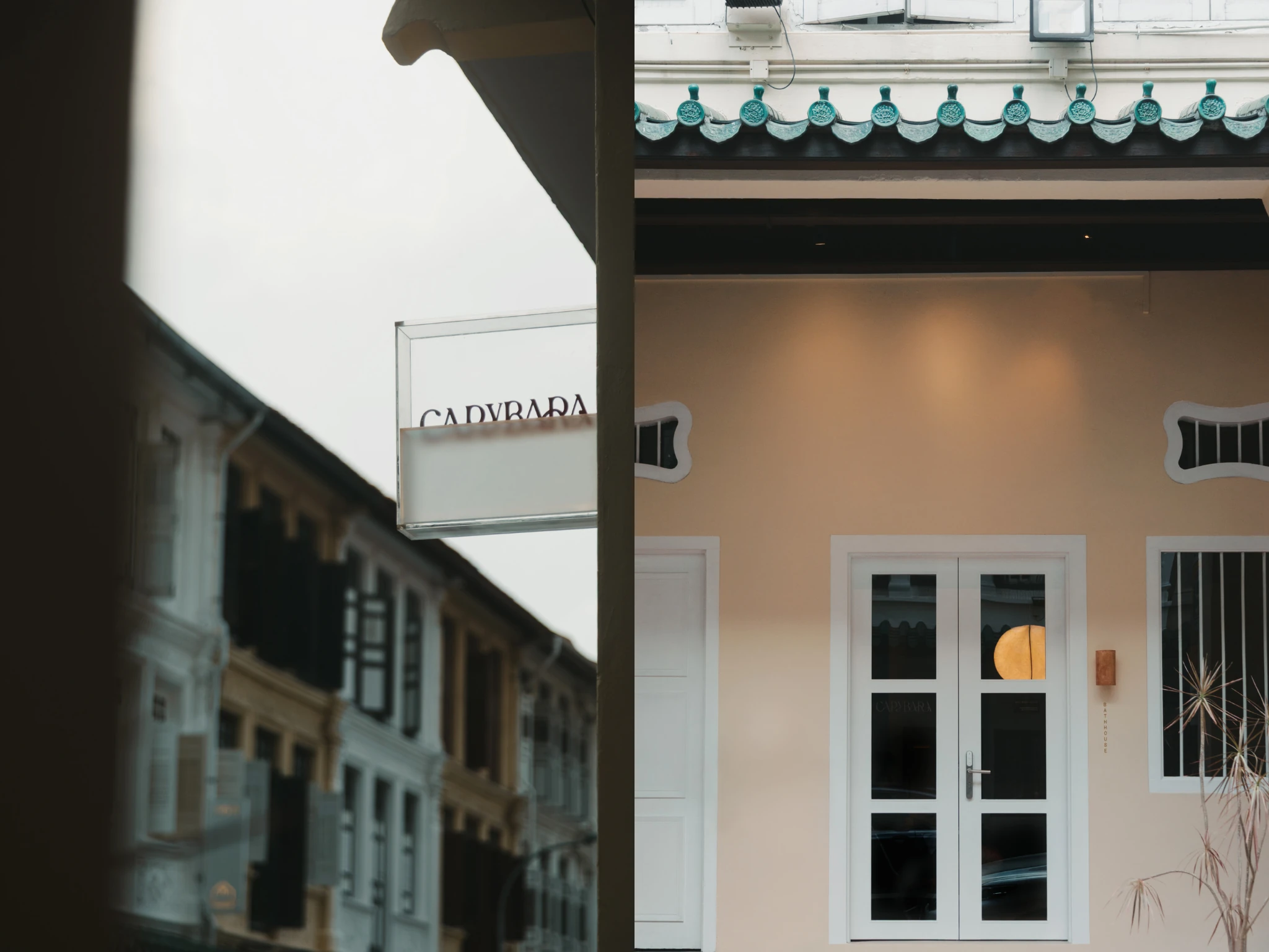 Capybara Bathing Singapore