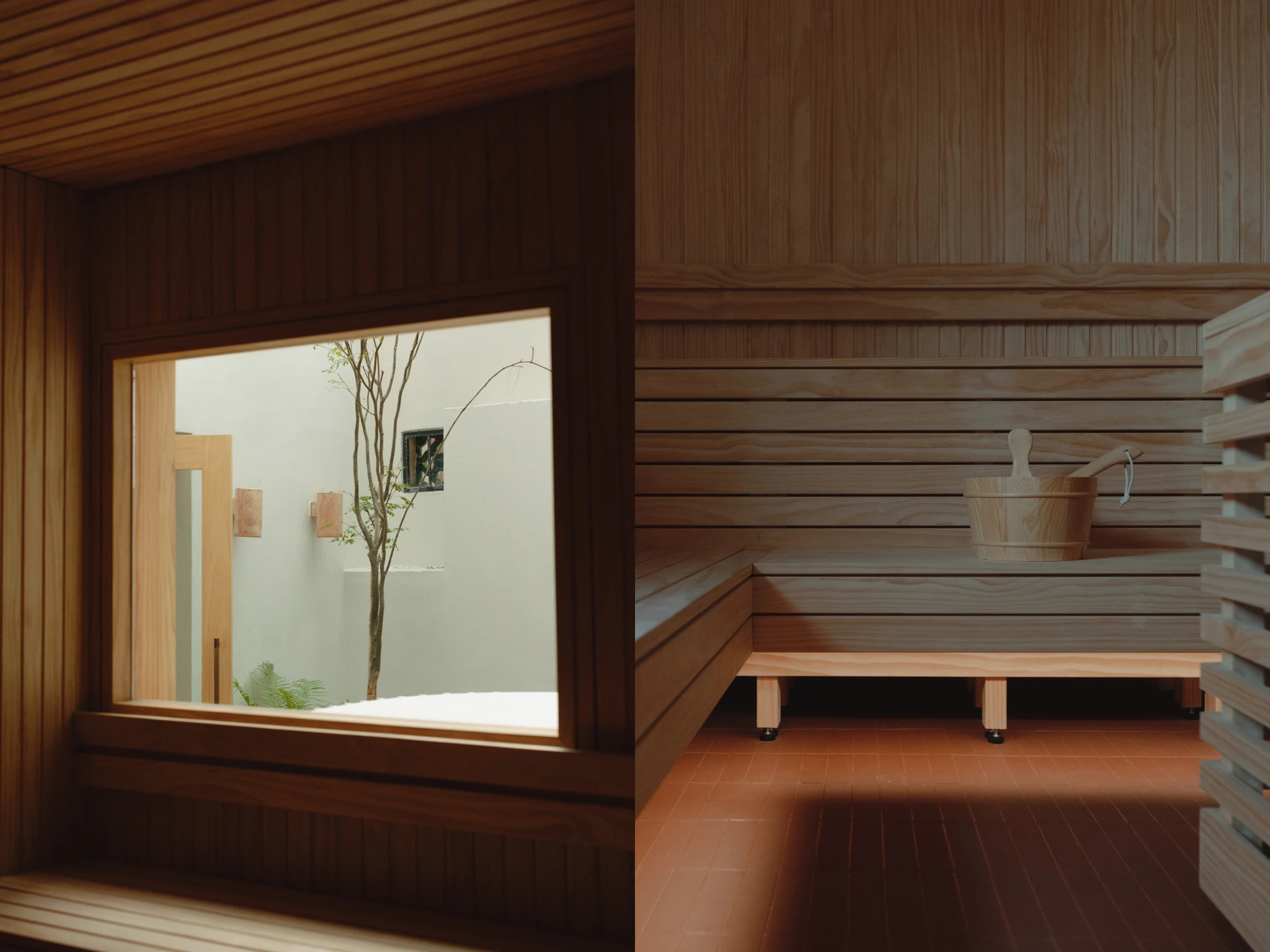 Capybara Bathing Singapore