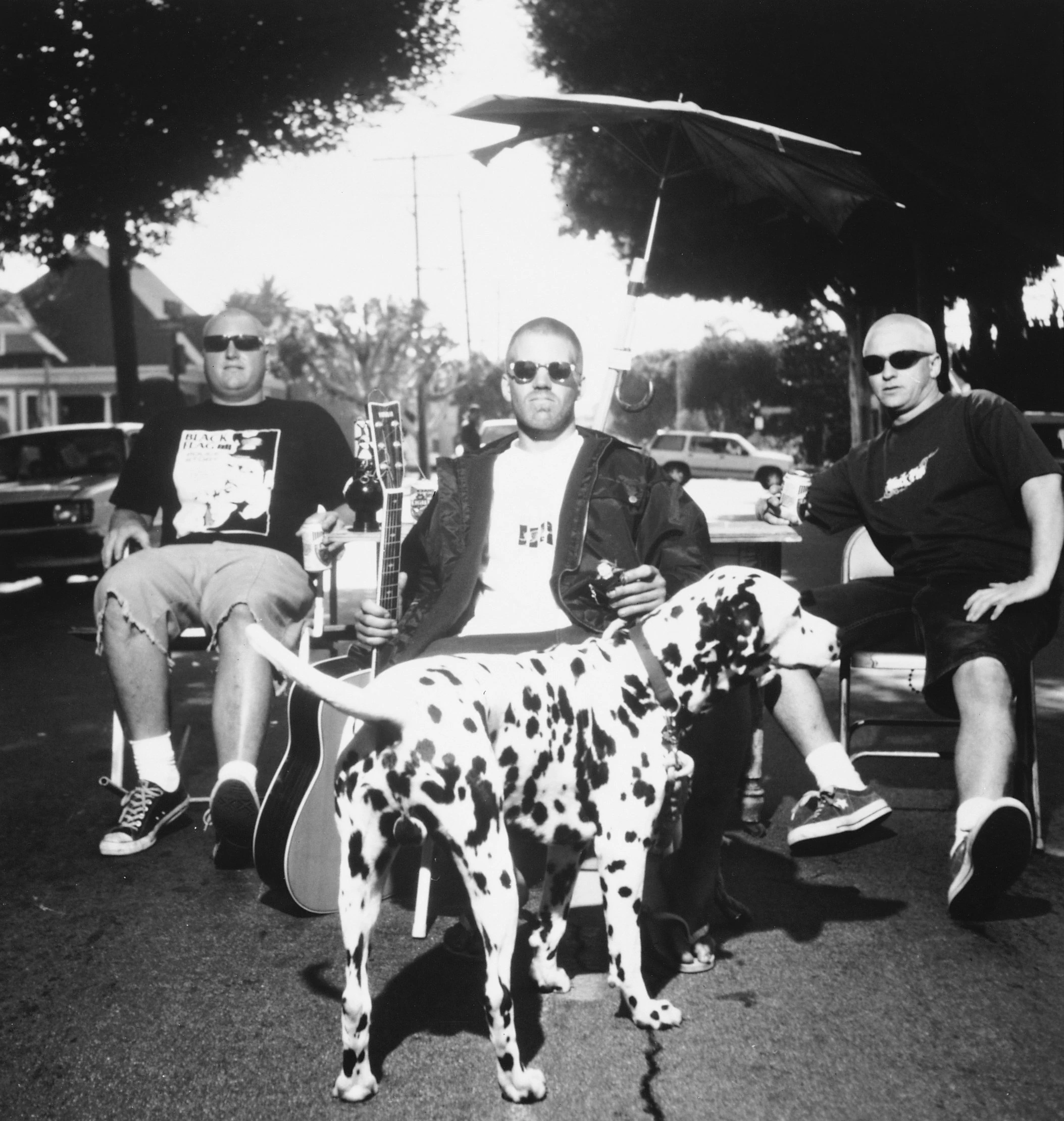 The original lineup of Sublime on lawn chairs with a dalmation in front of them.