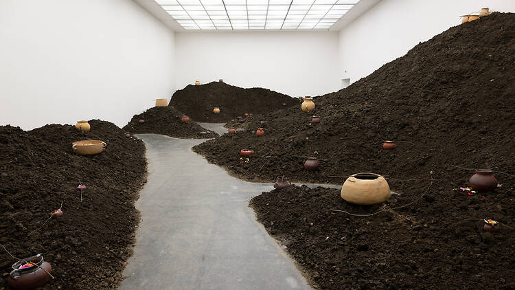 Several Eternities in a Day: Form in the Age of Living Materials