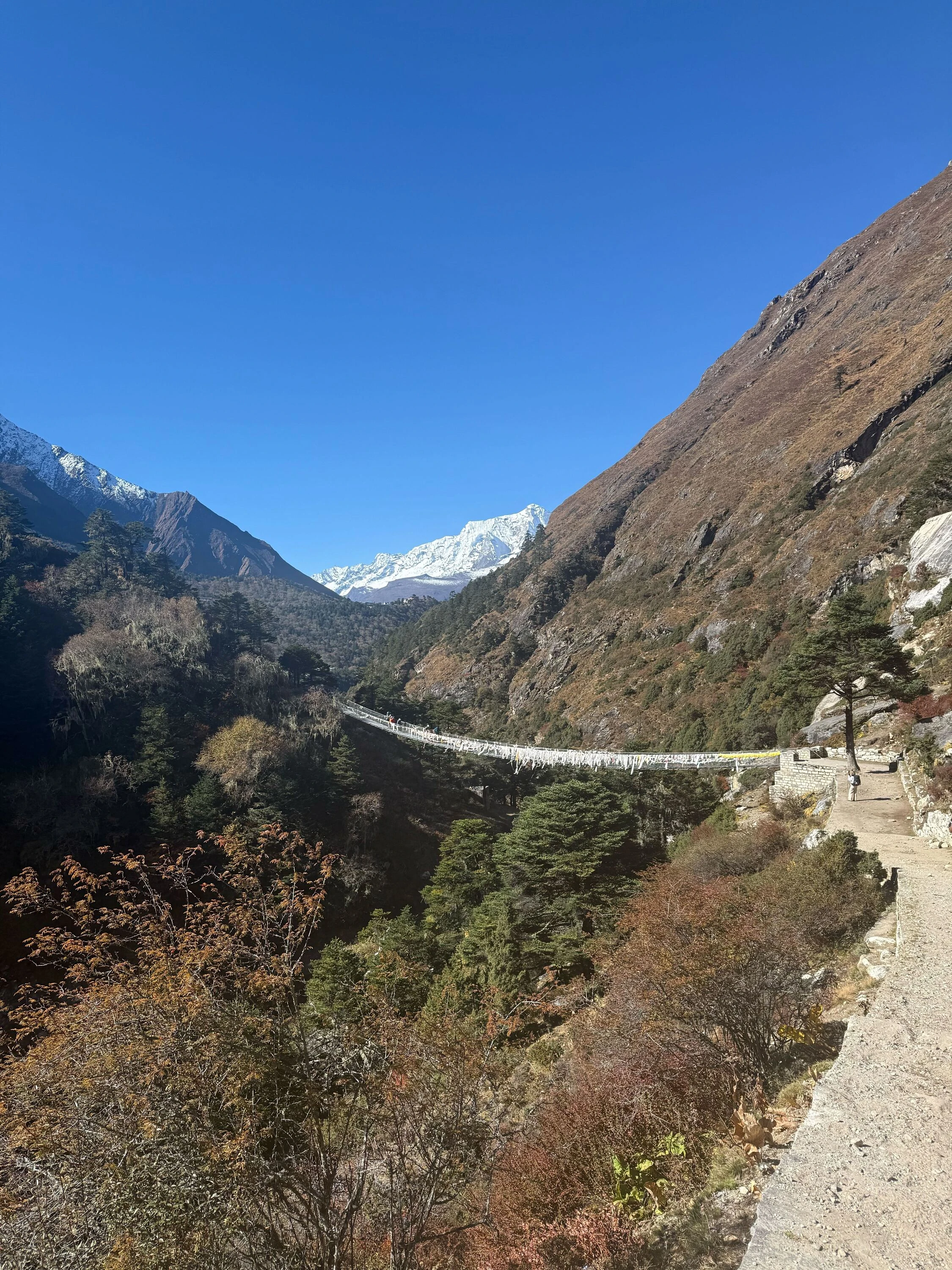 Rope bridge over a valley