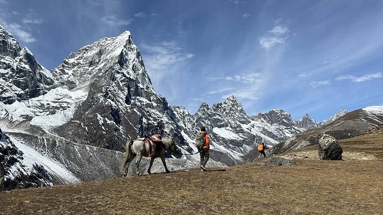 A local with a horse A local with a horse