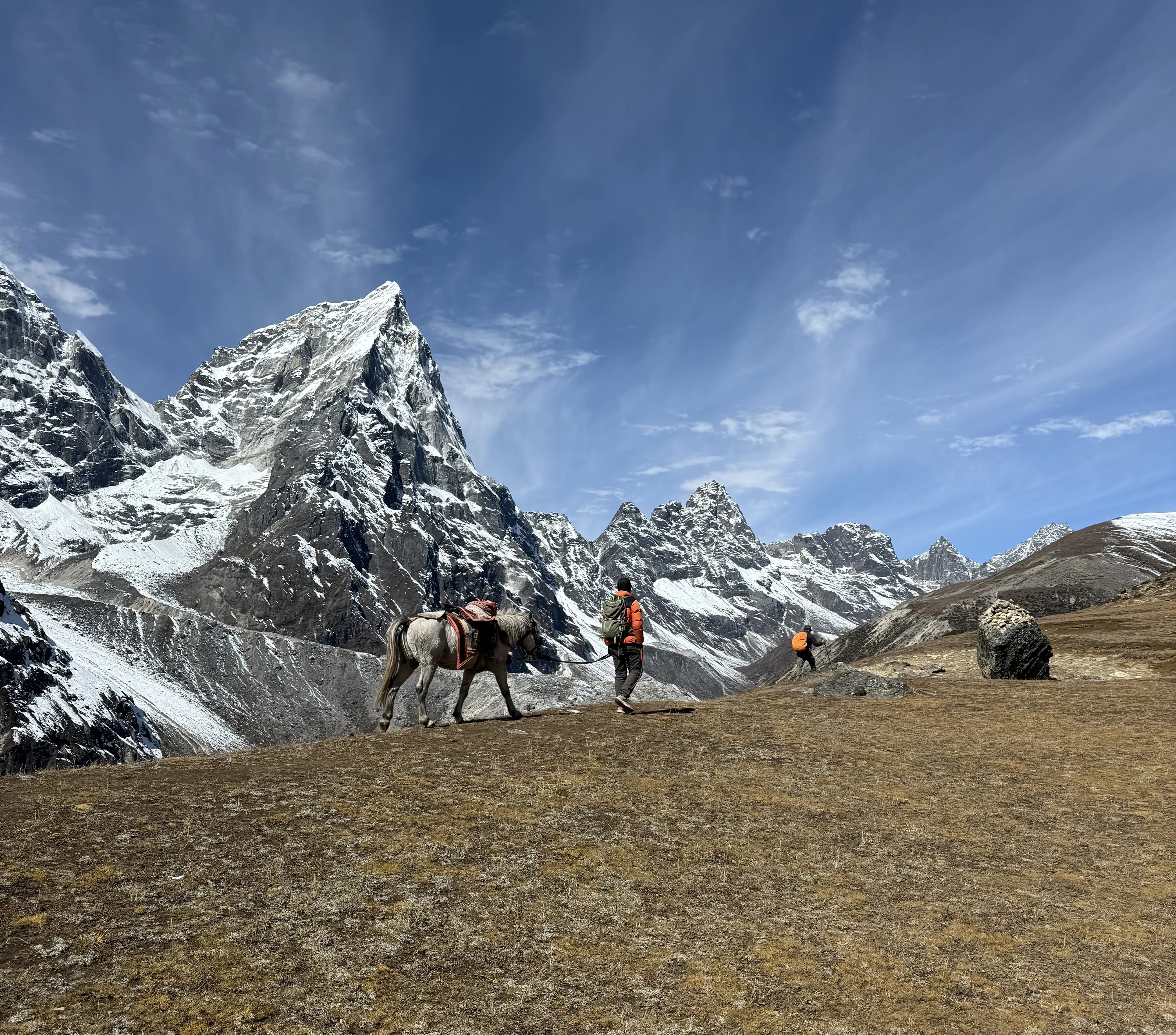 A local with a horse