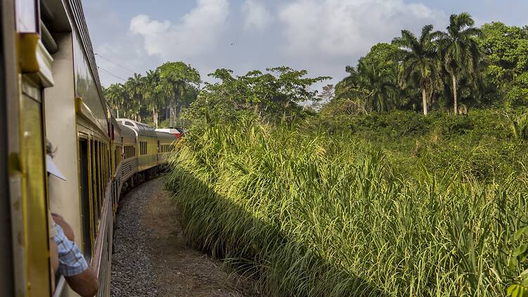 Vintage train that goes from Panama City to Colon is passing rainforest close to Panama Canal