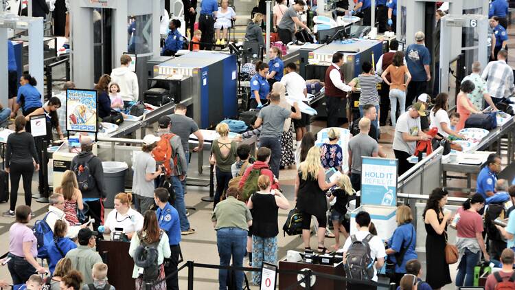 TSA lines