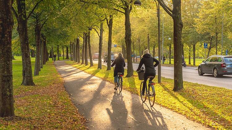 Cyclists in Gothenburg Sweden