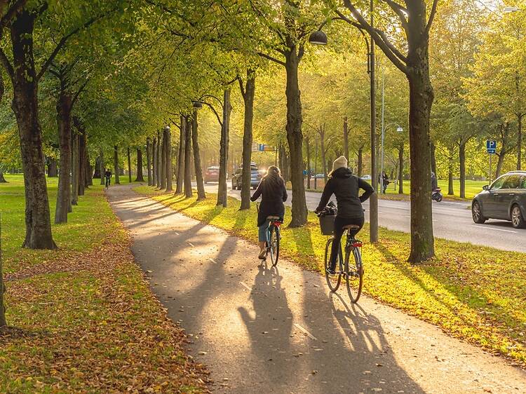 A new cycling route is opening in Europe this spring &ndash; through wildflower fields, culinary towns and &lsquo;the capital of fika&rsquo;