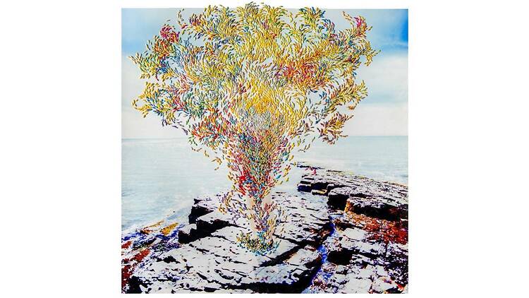 齋藤陽道、澄毅「The Insight of Being」