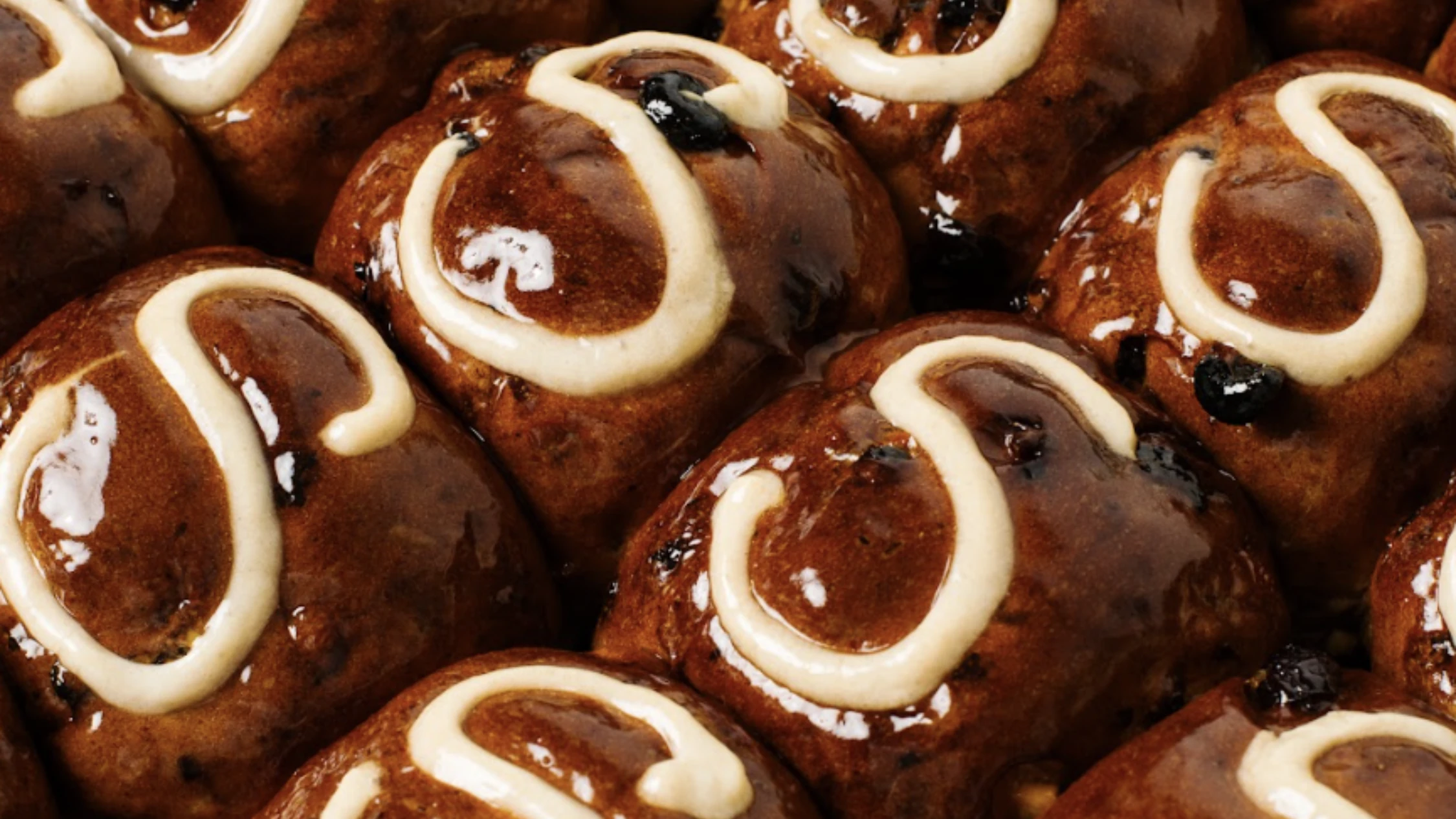 Buns from Sonoma Bakery