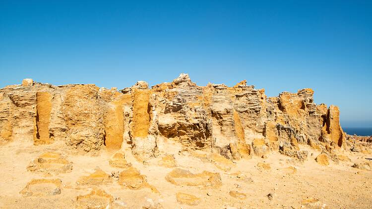 the Petrified Forest