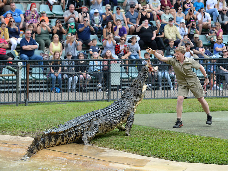 The 12 best zoos and wildlife parks in Australia