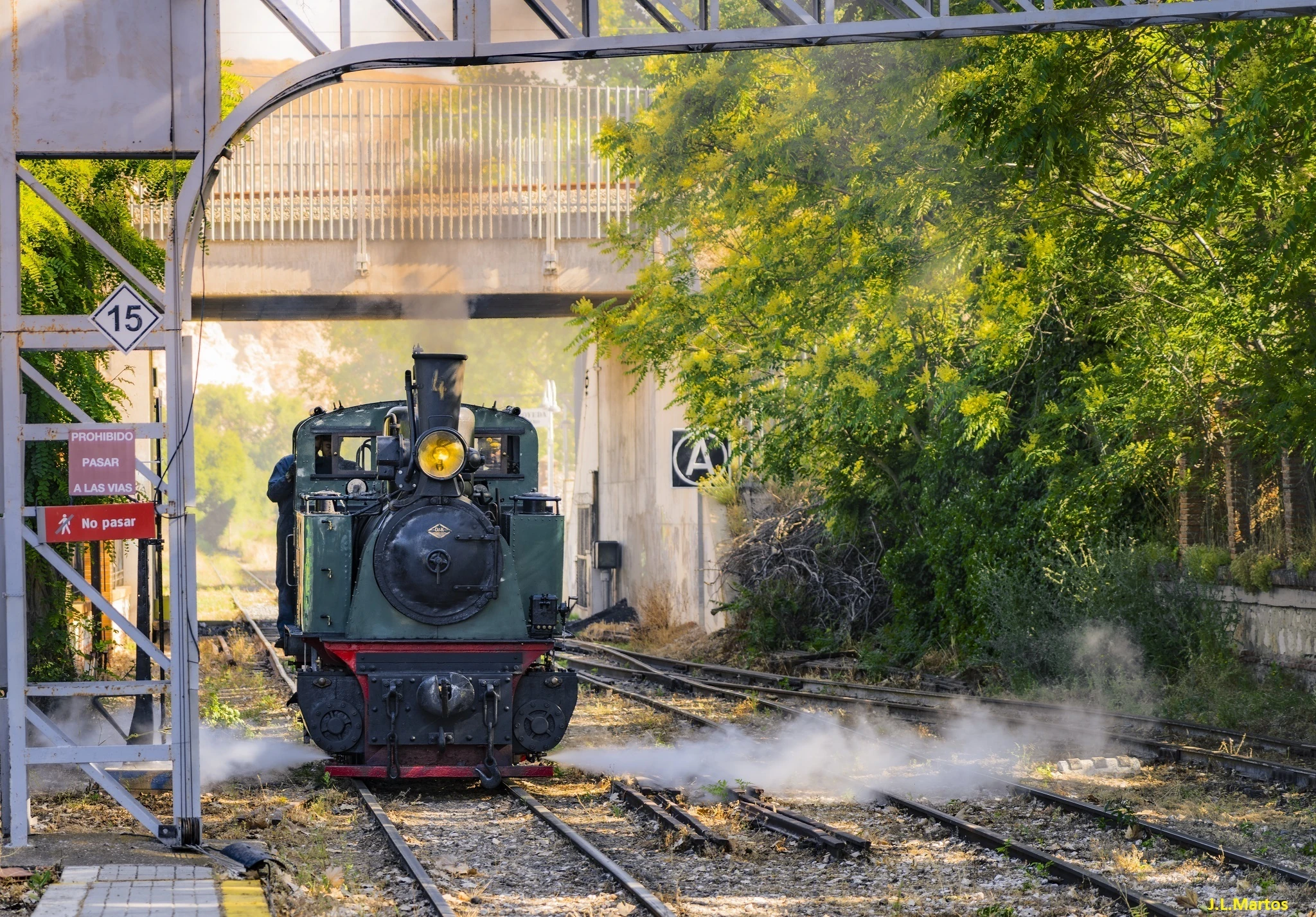 Tren de Arganda. Jose L. Martos
