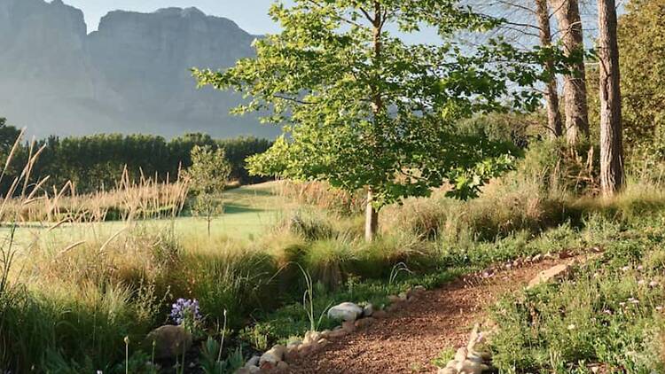 Boschendal Wine Estate, Franschhoek