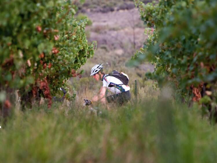 Oak Valley Estate, Elgin