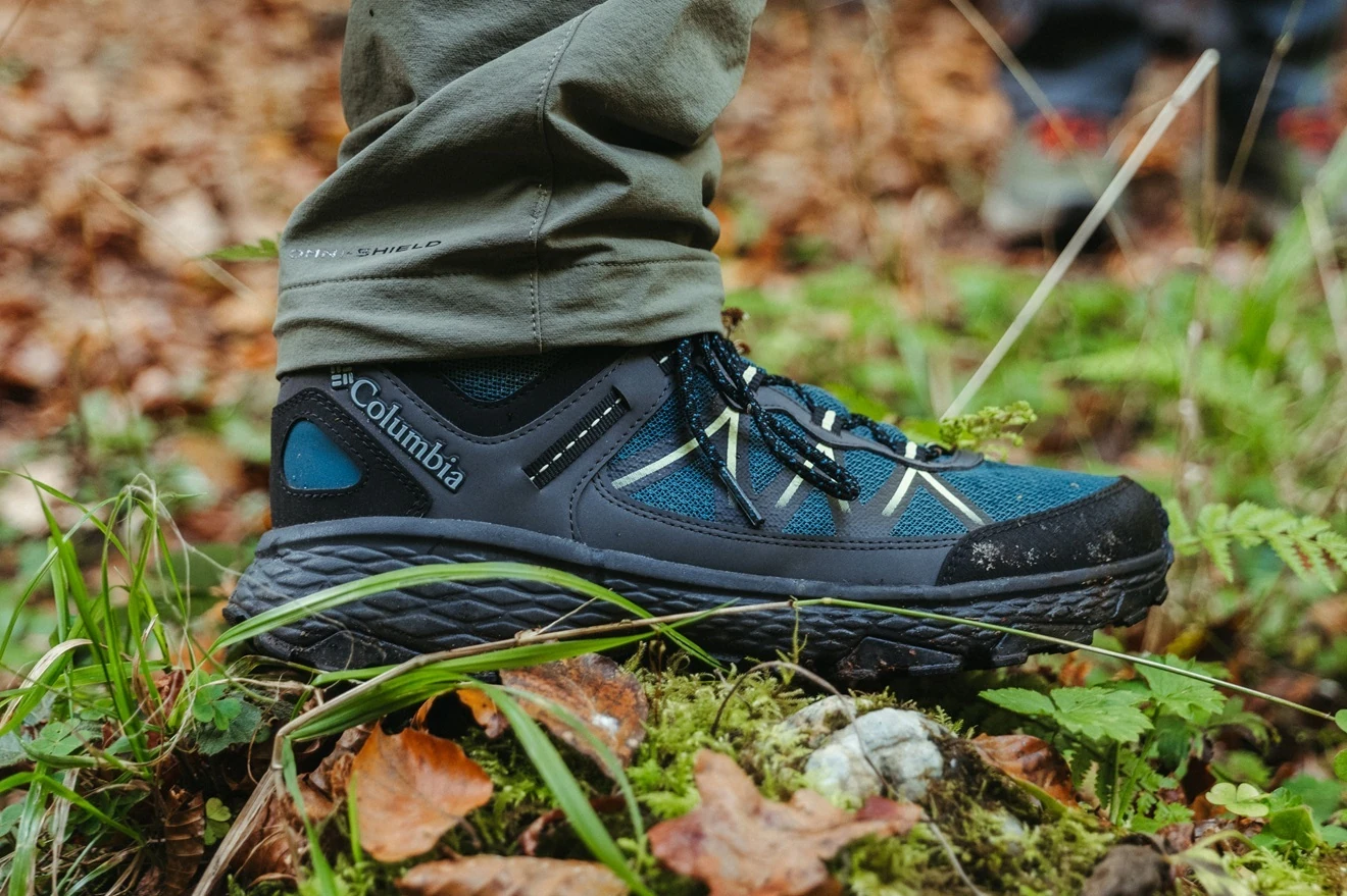 David S&aacute;nchez