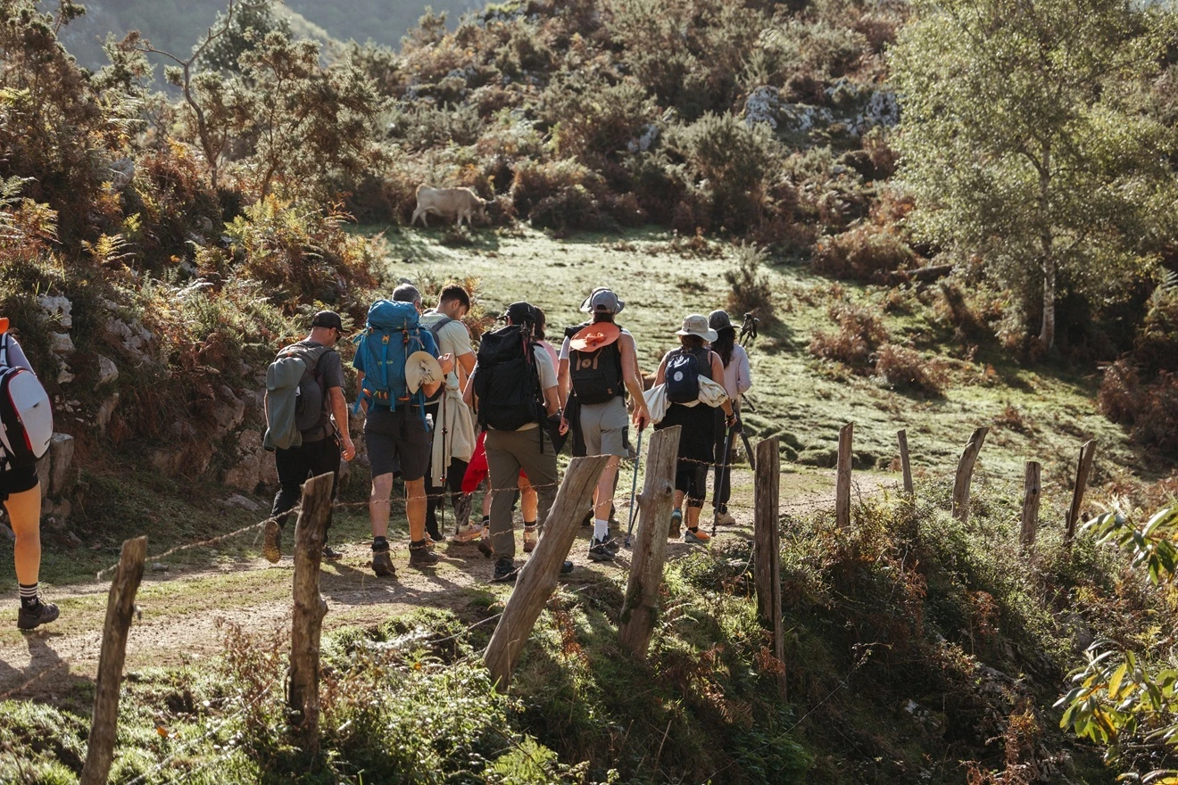 David S&aacute;nchez