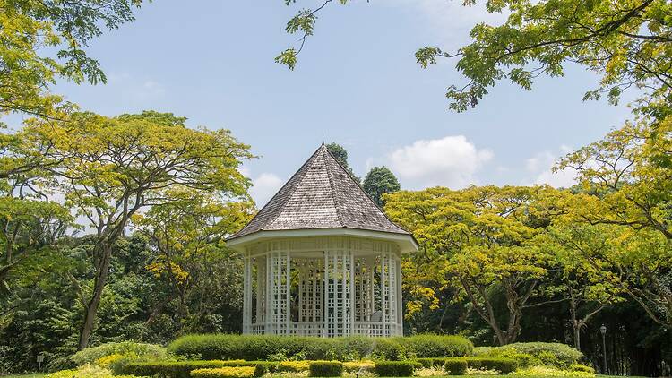 Singapore- 16 Oct, 2021: Gazebo or white bandstand at Singapore Botanic Gardens. he octagonal gazebo known as the Bandstand was erected in 1930 and has retained its original shape