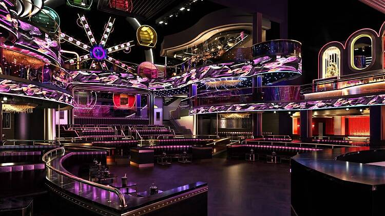 Have a wild night out at Marquee