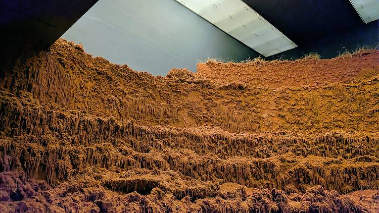 Espacio Vientre Delcy Morelos MUAC 