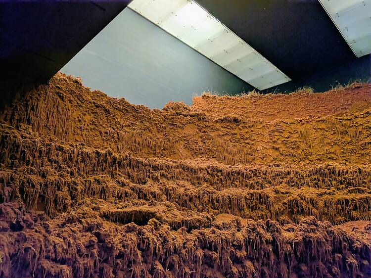 El Espacio Vientre Delcy Morelos