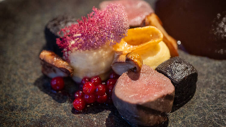 Aanaarin poroannos, jonka päällä on violetti jäkälä