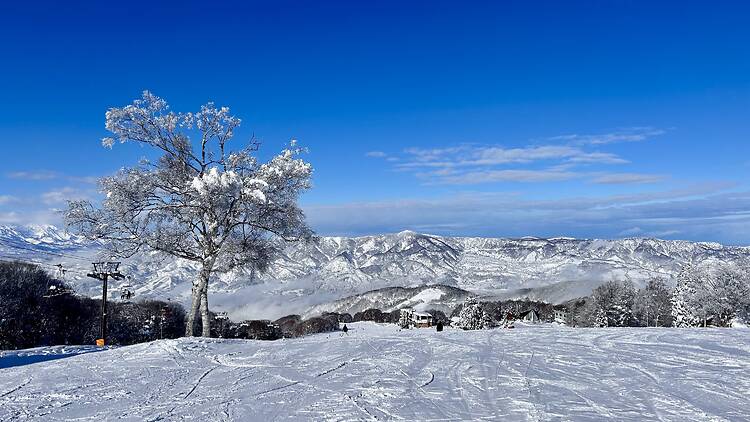 Nozawa Onsen, Nagano
