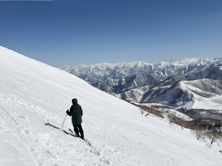 Naeba / Kagura, Niigata