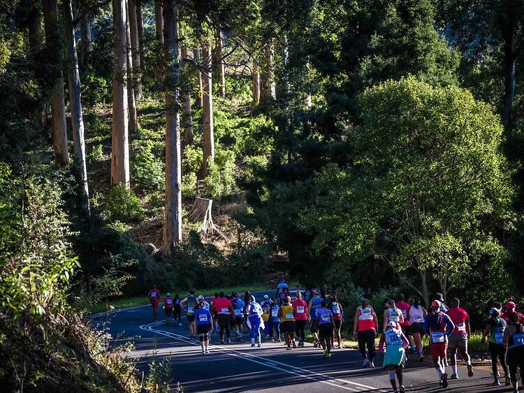 Two Oceans Marathon 2026: Road Closures