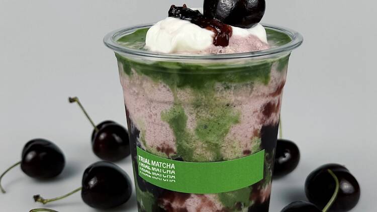 Trial Matcha Trial Matcha