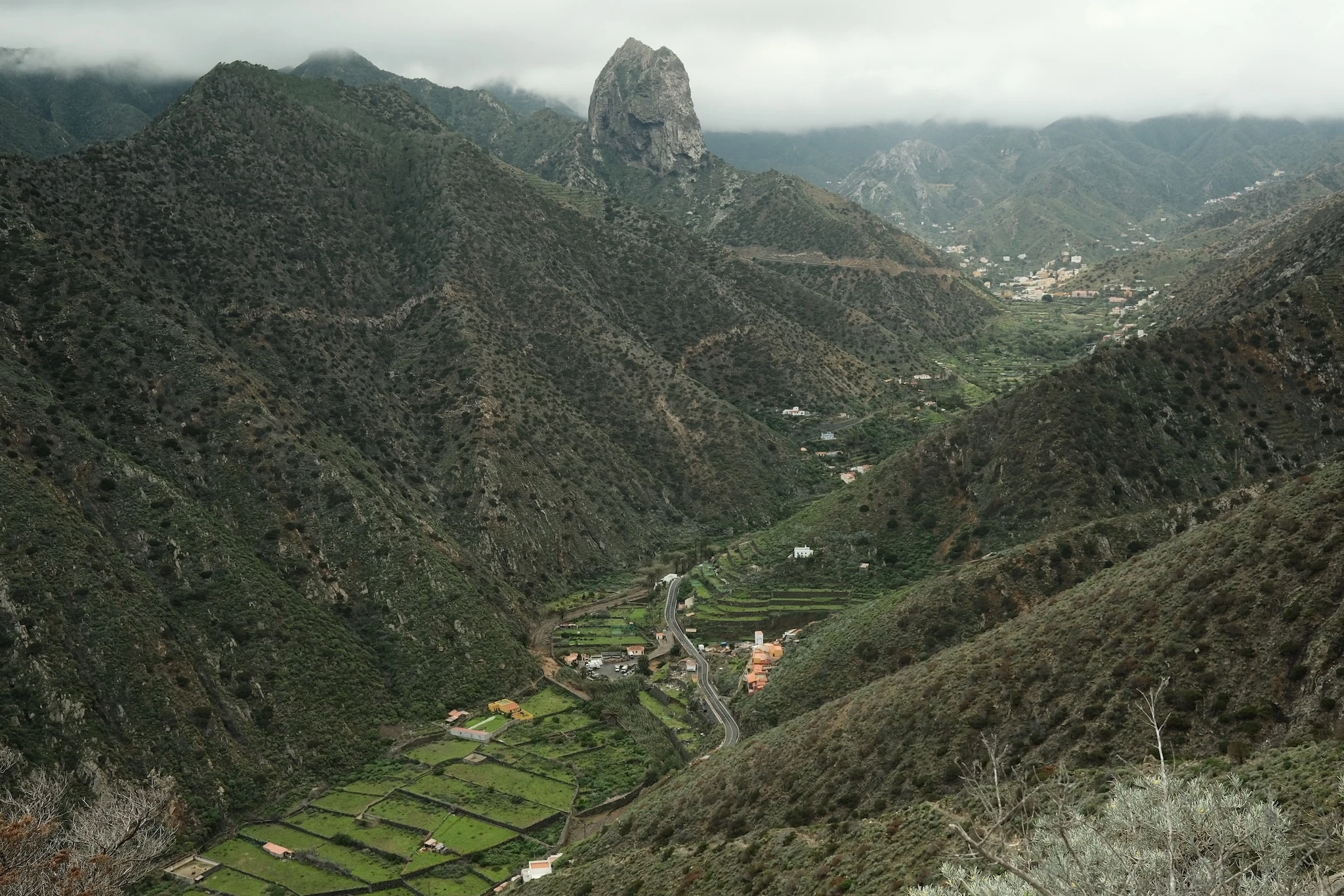A lush ravine on La Gomera, Canary Islands