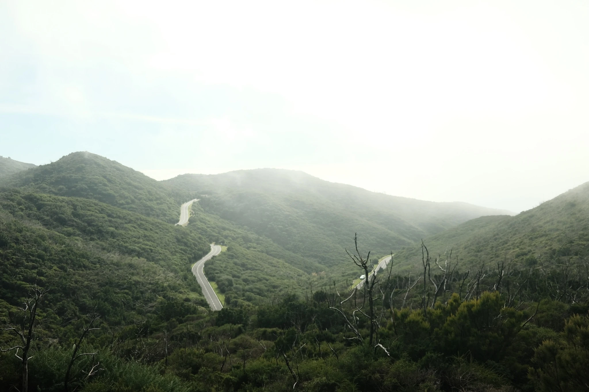 Misty lanscape in La Gomera showing a road cutting through hills