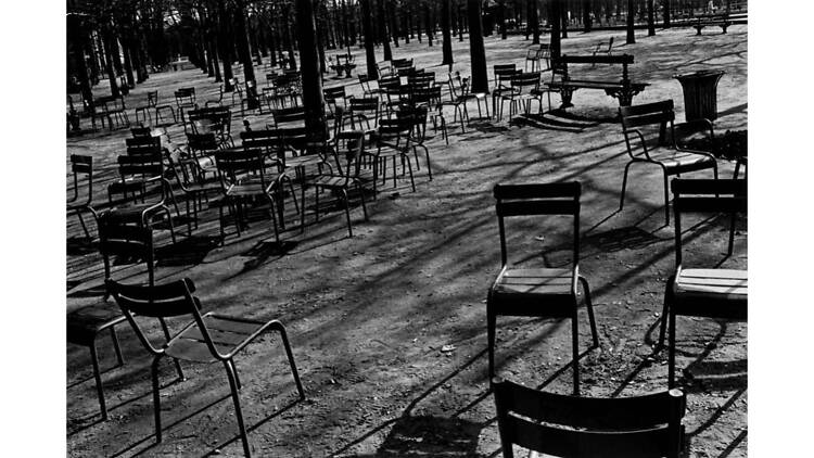 Neko wa Neko 2 & Another The Dog in France Neko wa Neko 2 & Another The Dog in France