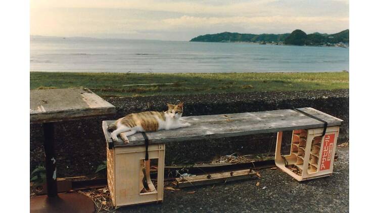 Neko wa Neko 2 & Another The Dog in France Neko wa Neko 2 & Another The Dog in France