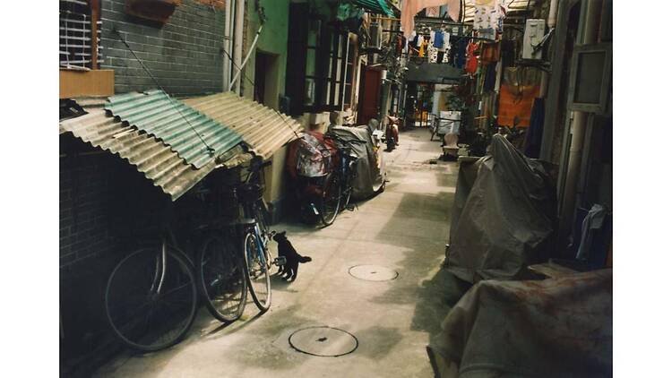 Neko wa Neko 2 & Another The Dog in France Neko wa Neko 2 & Another The Dog in France