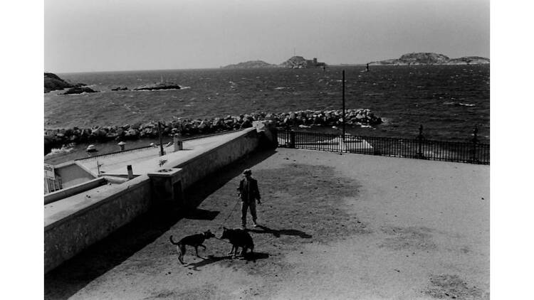 Neko wa Neko 2 & Another The Dog in France Neko wa Neko 2 & Another The Dog in France