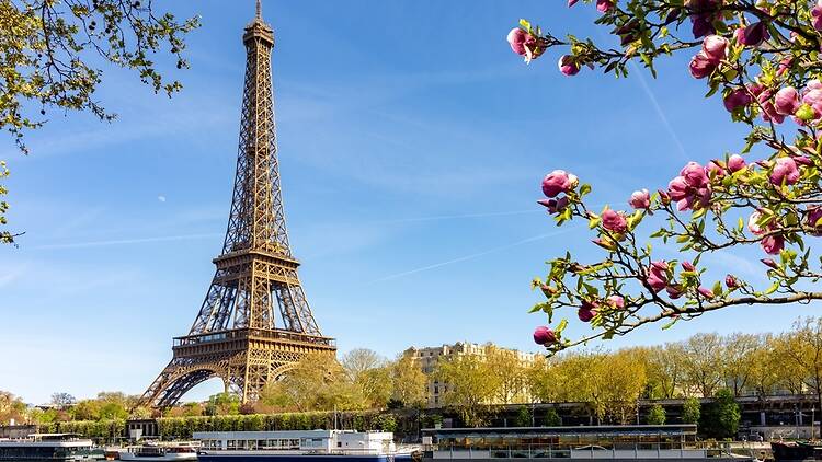 Eiffel Tower on the Seine, with spring flowers in the foreground