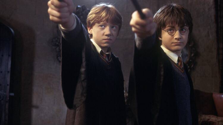 Harry and Ron Harry Potter and the Chamber of Secrets 