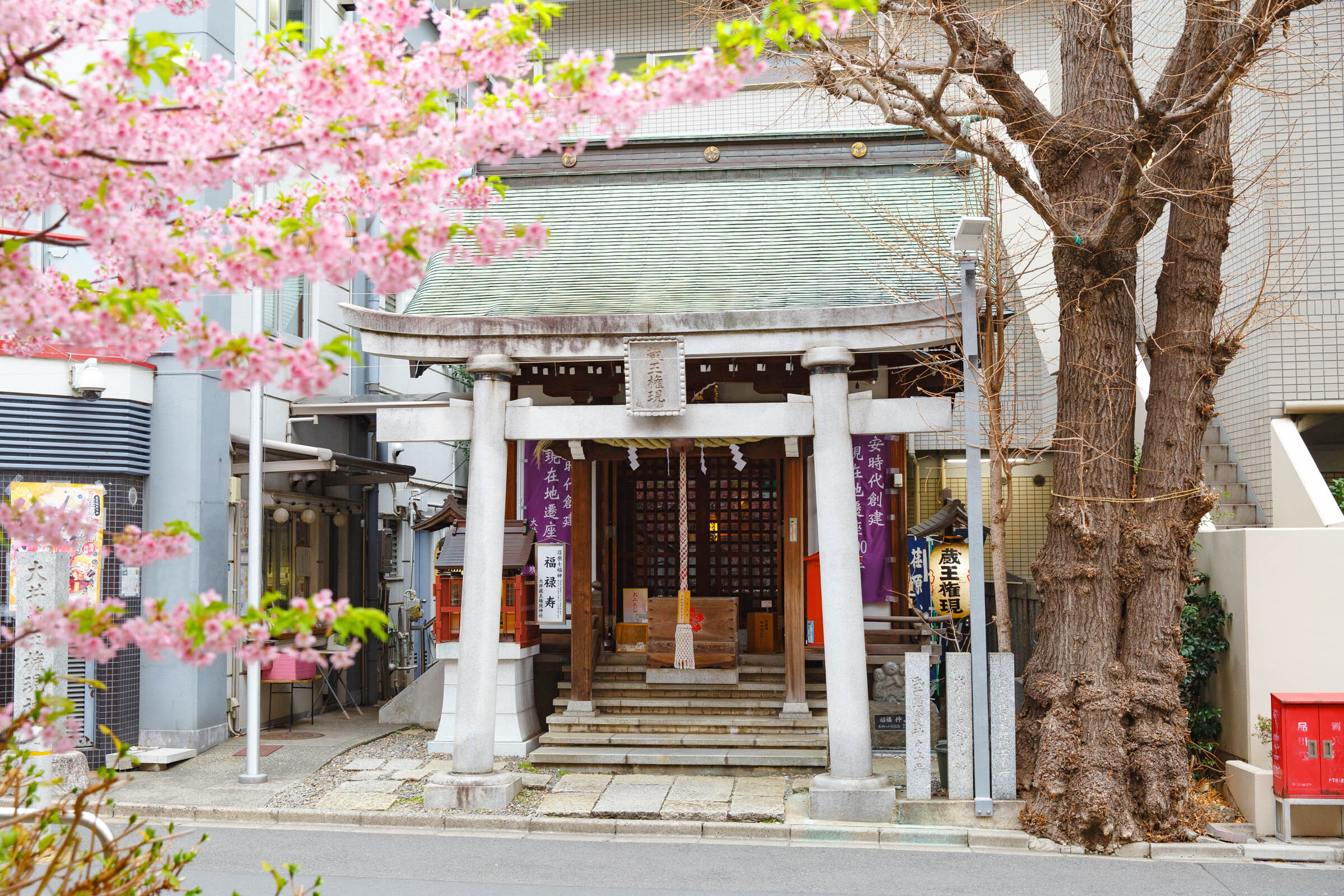 超希少激レア！スターチーム桜34